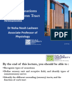 BMS301, L18&19, Physiology, Sensations of Dorsal Column Pathway 1&2