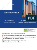 BMS301, L26&27, Integrated Lecture 1, Sensory Cortex & Its Lesions