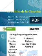 PRESENTACION GUAYABA. Corpoica Palmira y La Libertad