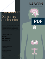 Práctica 12.sistema Endocrino