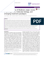 Adenocarcinoma of Mullerian Origin: Review of Pathogenesis, Molecular Biology, and Emerging Treatment Paradigms