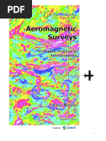 Aeromagnetic Survey Reeves