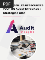 Audit Insight Optimiser Les Ressources Pour Un Audit Efficace Stratégies