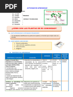 D2 A2 Sesion Ct. ¿Cómo Son Las Plantas de Mi Comunidad