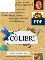 El Colibri