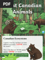 6 - Canadian Animals FF