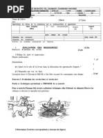 Svteehb - College Prive Laïc Mongo Beti - 6eme Cameroun