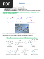 Aminas PDF