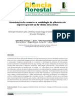 Germinação de Sementes e Morfologia de Plântulas de Espécies Pioneiras Da Várzea Amazônica