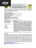 Energy Budgeting and Life Cycle Assessment of Cashew Cultivation Under Different Planting Densities