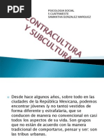 Subcultura y Contracultura