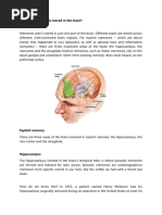 Memory Human Brain