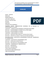 Rapport Bintou FINALISÉ