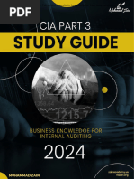 Sample of CIA Part 3 Study Guide 2024