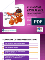 PP20 Gaseous Exchange