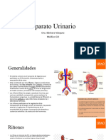 Aparato Urinario: Dra. Bárbara Vásquez Médico GO