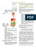 TEMA 8 - Tracto GastroIntestinal