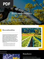 Biocombustibles PPT