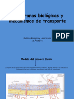 Transportes