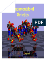 Biology FundamentalsOfGenetics (A)