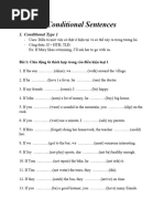 Conditional Sentence1 Vs Ex