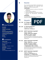 Curriculum Vitae 2021 PDF