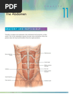 Bates Physical Exam (CH 11 - The Abdomen)