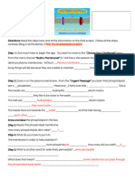 Cell Defense Worksheet