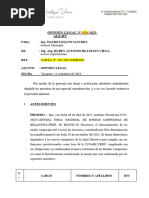 Opinion Legal - Reconocimiento de Junta Directiva Rondas Campesinas - José Tuanama Tuanama