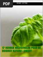 17 Herbes Medicinales Pour Se S - Remy CETRE