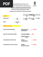 N°13 Formulario de Razones Financieras