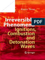 Kunio Terao - Irreversible Phenomena - Ignitions, Combustion and Detonation Waves-Springer (2007)