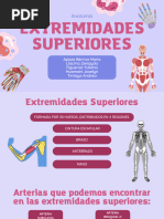 Extremidades Superiores G4