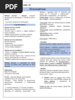 Neuro Anatomia