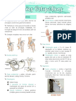 Afecções Ortopédicas em MP - RESUMO