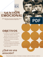 Taller de Gestion Emocional