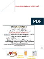 Conceptos Fundamentales de Reino Fungy