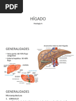 HIGADO