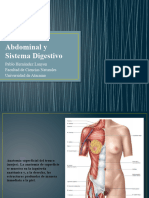 Anatomía Abdominal y Sistema Digestivo 2021