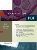 Introduction Endocrinology (Adh & Oxytocin)