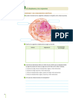 Ficha El Citoplasma y Organelos