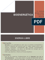 Energía Libre Termodinámica