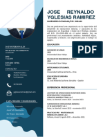 Yglesias Ramirez CV