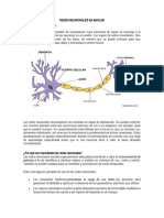 Red Neuronal en Matlab