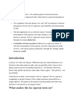 Lac Operon Key Points