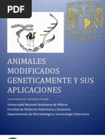 Aplicaciones de Los Animales Genéticamente Modificados