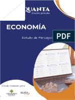 Estudio de Percepción - Economía