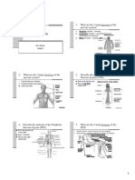 Nervous System EQs PPT Slides