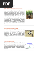 Sugarcane Technologies: Colk 94184, An Early Maturing Sugarcane Variety