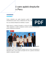 6 Instituții Care Apără Drepturile Copilului În Peru